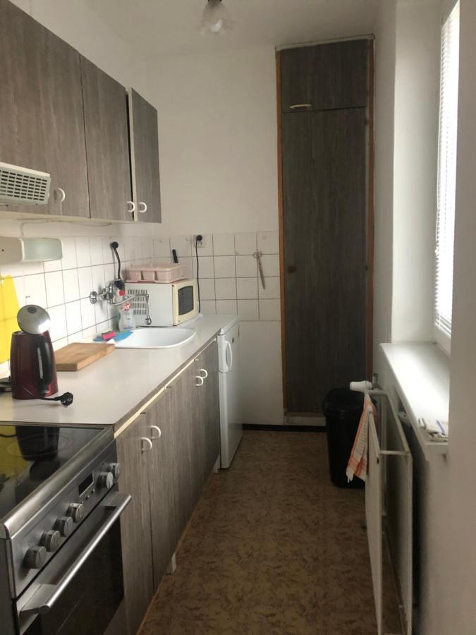 Zlata Olesnice  Apartman Na Horach מראה חיצוני תמונה