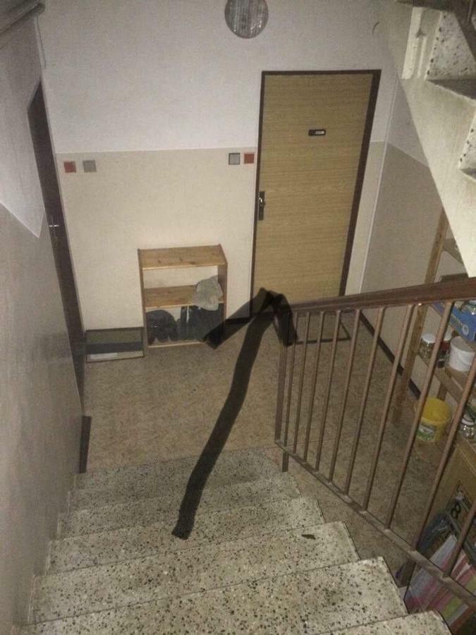 Zlata Olesnice  Apartman Na Horach מראה חיצוני תמונה